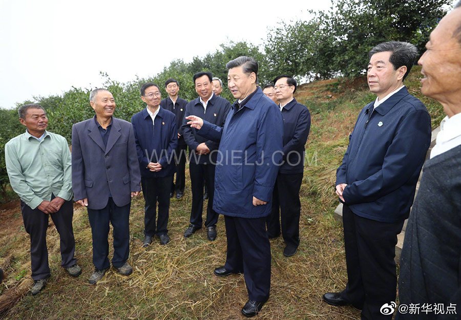 光山油茶籽榨油設備，山茶籽油榨油機廠家(圖3)